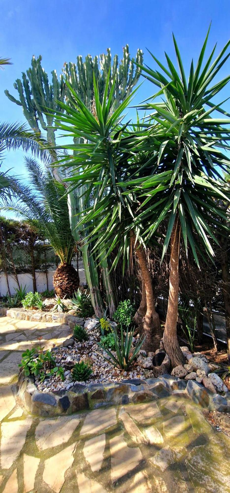 ל'אמטיה דה מר Casa Buganvilla מראה חיצוני תמונה